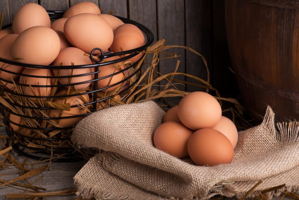 Hoeveel eieren legt een kip